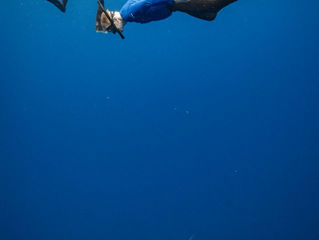 Facing Your Fear With Perception