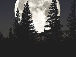 The Moon #FlashPoetry