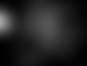 Meet the Owners of Ash: Steve Bartell