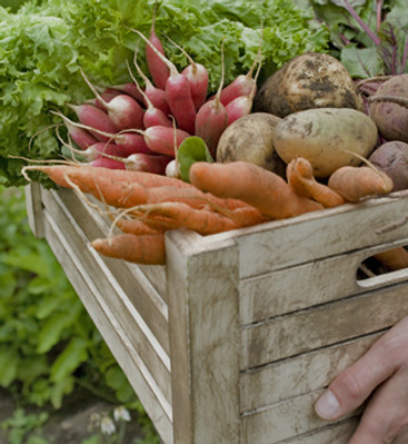Le panier de légumes