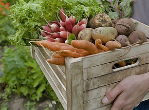 Le panier de légumes