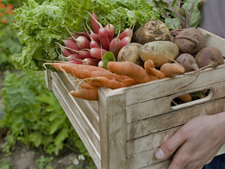 Nourishing New Market - Vol. 2: Beets, Potatoes, and Recipes, Oh My!