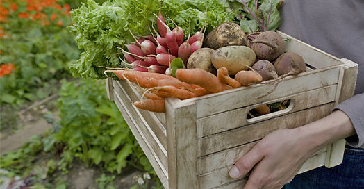 Crate of Vegetables