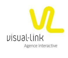 Visual Link Agence digitale