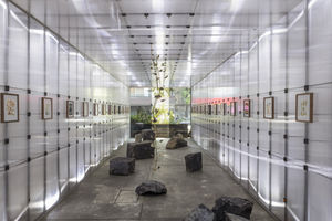 Verde Brillante, 2026, Colima 112, Mexico City