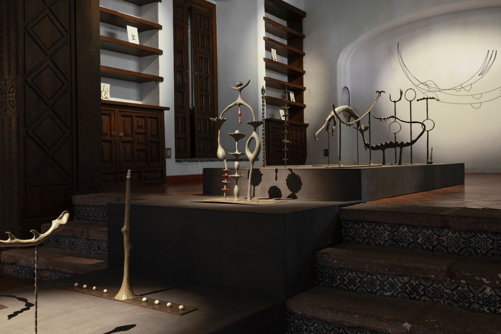 Installation view, La partición de la lombrina, 2025.