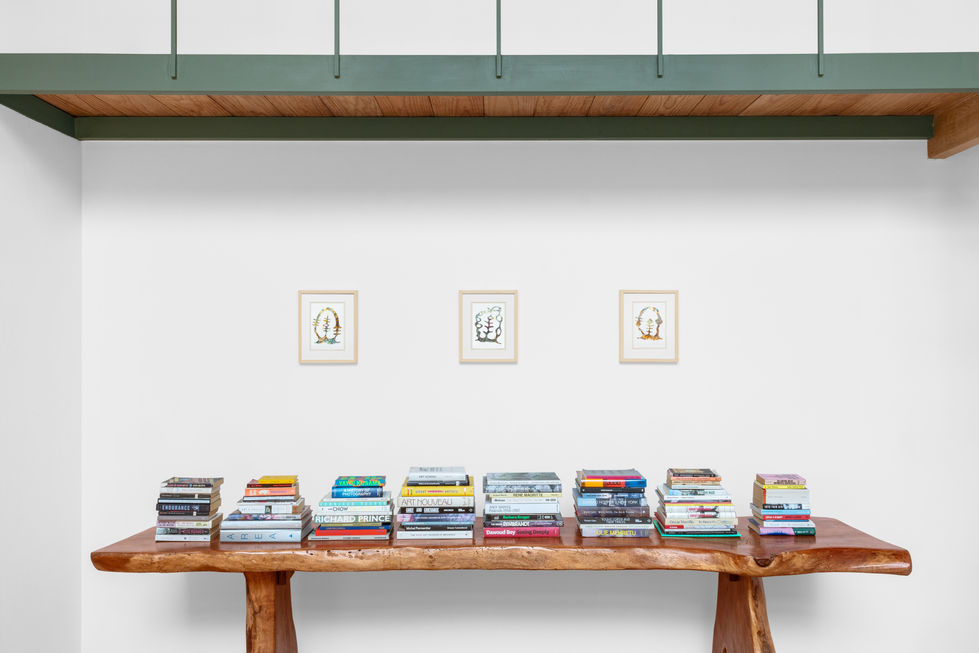 Installation view, A Return to roots, 2025.