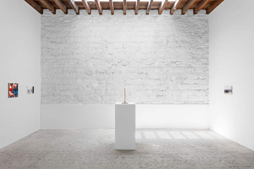 Installation view, A Return to roots, 2025.