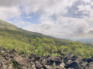 Between the Rainforest and the Beach in Costa Rica