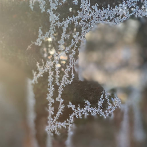 静寂の時間 no.4