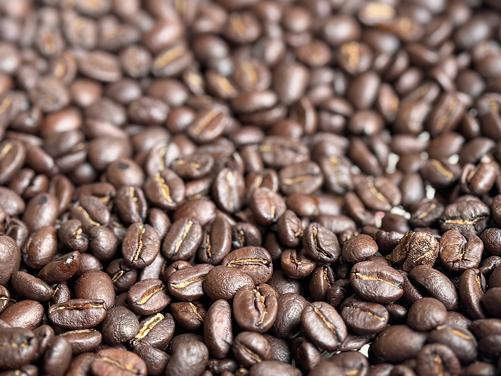 艶やかで綺麗な粒揃い