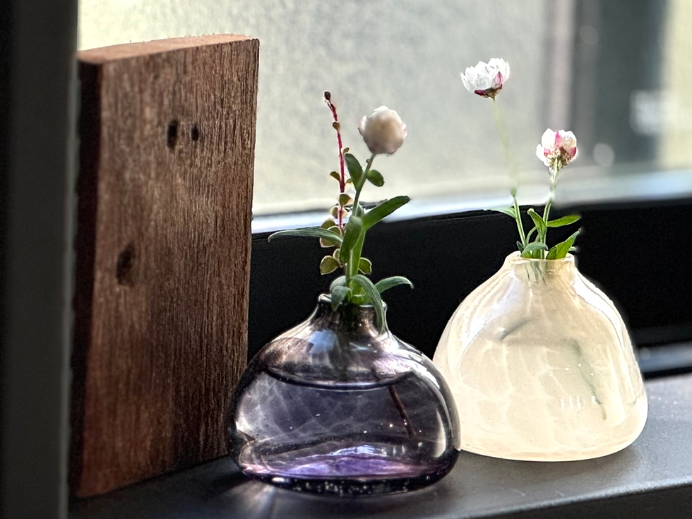 FROM SOTONOIN vol.10