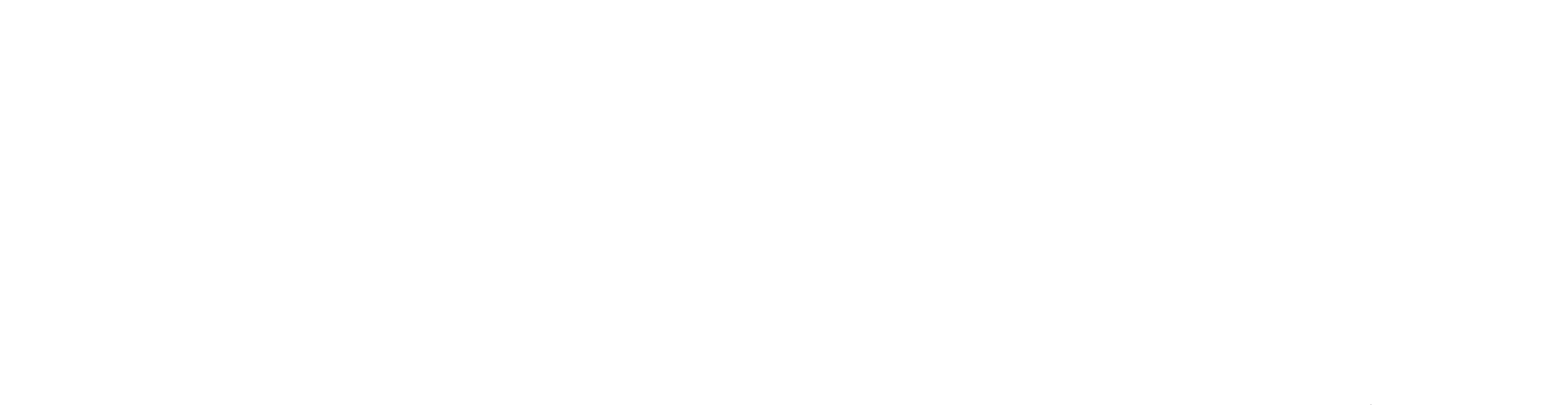 TGF-Flag_2019_White.gif