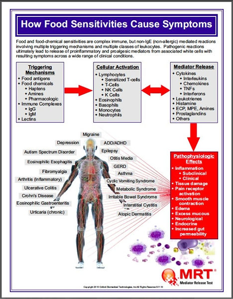 MRT food and chemical body chart