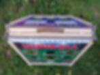 Aerial Shot.jpg