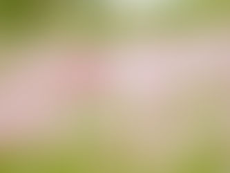 年少の日の思い出