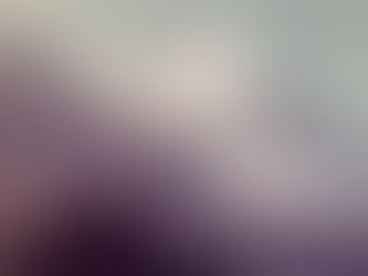 フライドポテト