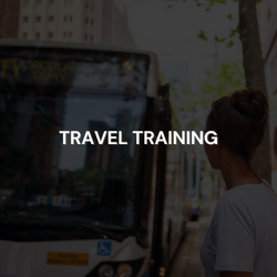 Travel and Transportation Training