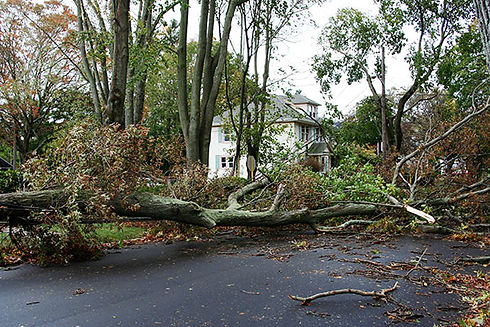 Storm Cleanup.jpg