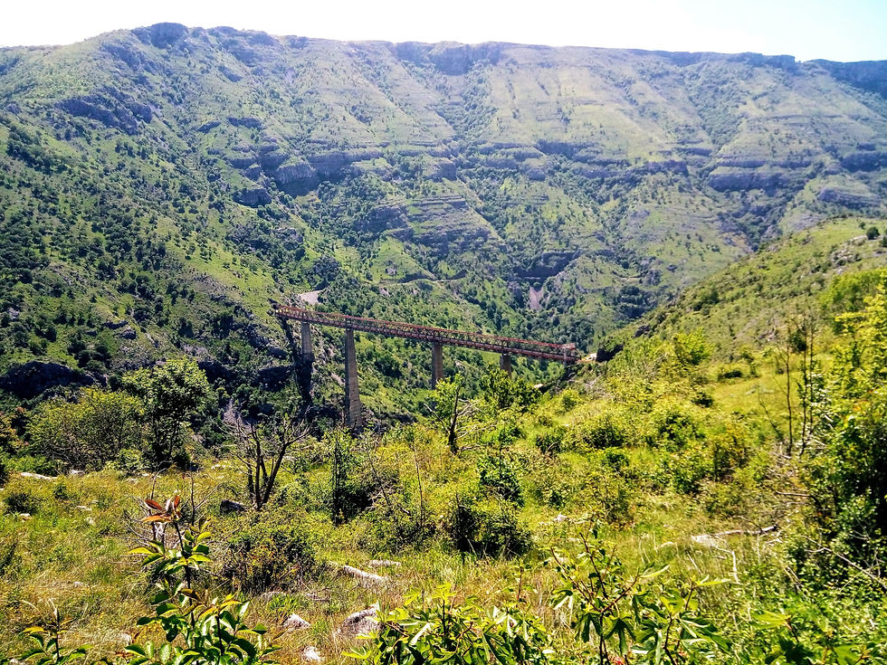 balkan-WEB-prft-gu02