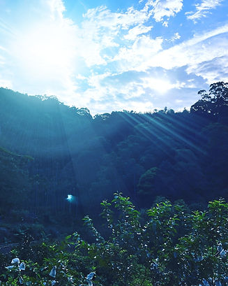 瑜伽森林的日出東方,藍天白雲,寧靜又美麗的清晨。