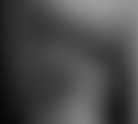 Sobre Carlos Monsiváis