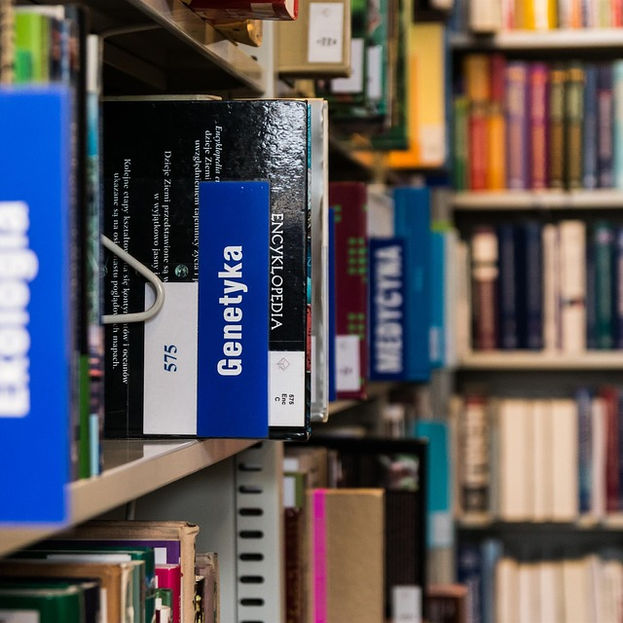 La educación y la cultura como instrumentos de poder hegemónico