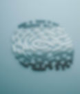 image of a fingerprint