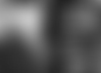 En Naucalpan (no en Tacuba) está el árbol de la ‘Noche Triste’