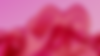 bg2.png