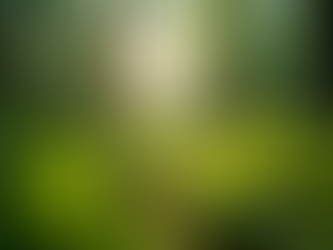 The Importance of Sustainable Living in Today's World