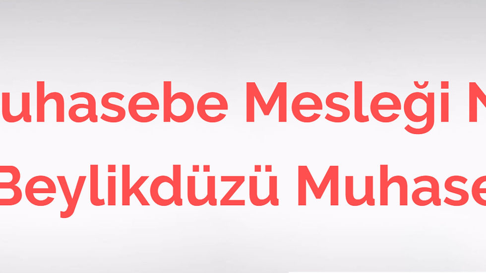 Orta açı Beylikdüzü'nde mali müşavir ve müşteri görüşmesi