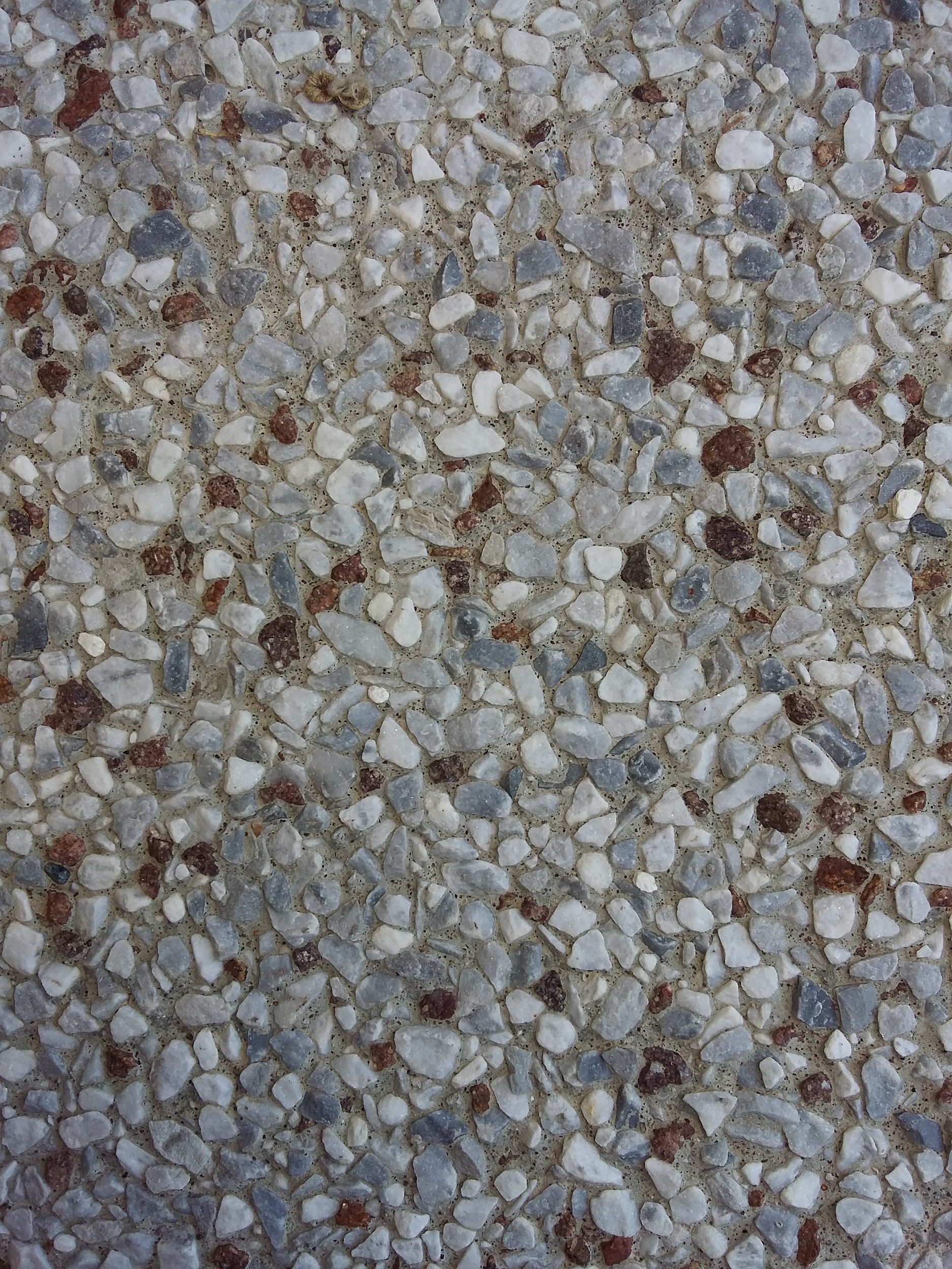 Ghiaino lavato