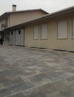 fenice fiammato066web.jpg