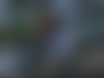 A Few Few My favorite Things