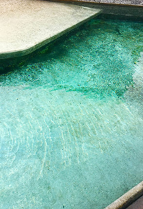 Renaud Patard This is Wild #9.jpg