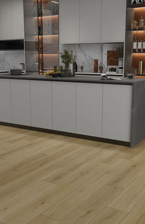 CARMEL | V-EVO XL™