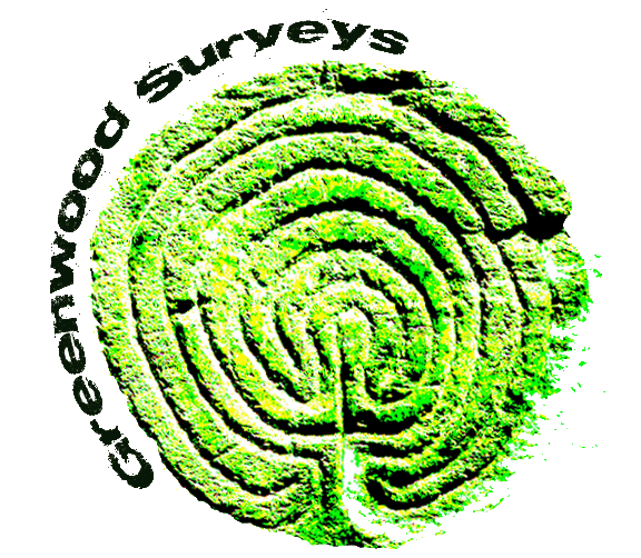 Business logo based on Rocky Valley Labyrinth petroglyphs