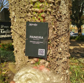 Foto: Acervo Descubra Chapecó