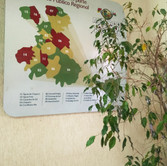 Foto: Acervo Descubra Chapecó