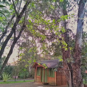 Foto: Acervo Descubra Chapecó