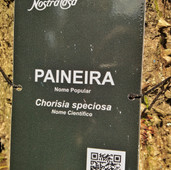 Foto: Acervo Descubra Chapecó