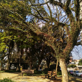Foto: Acervo Descubra Chapecó
