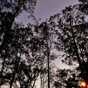 Foto: Acervo Descubra Chapecó