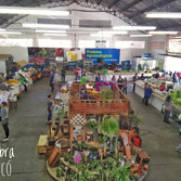 Foto: Acervo Descubra Chapecó