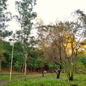 Foto: Acervo Descubra Chapecó