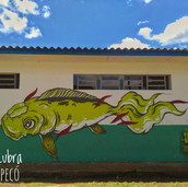 Foto: Acervo Descubra Chapecó