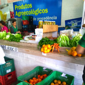Foto: Acervo Descubra Chapecó