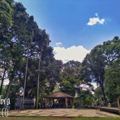 Foto: Acervo Descubra Chapecó
