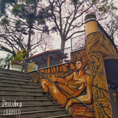 Foto: Acervo Descubra Chapecó